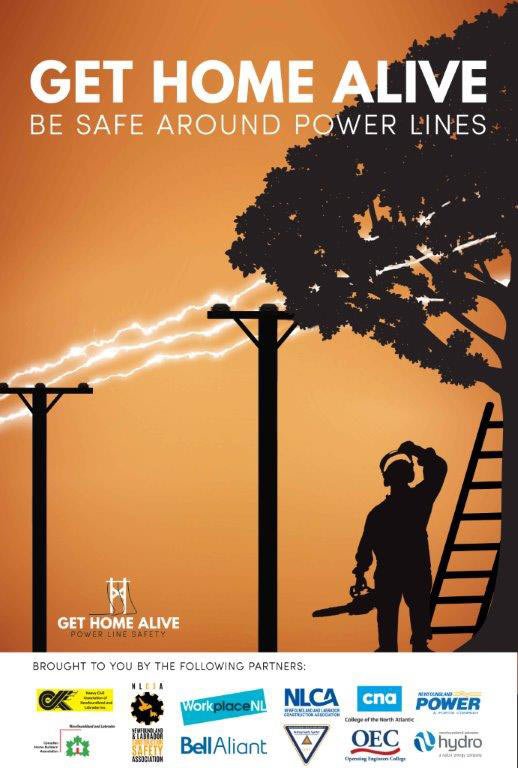 NLCSA1's tweet photo. Did you know that cutting branches and felling trees could be fatal. Never cut trees around power lines. Look Up Before You Cut.
#GetHomeAlive #ConstructionSafety https://t.co/M1gYSuiG8u