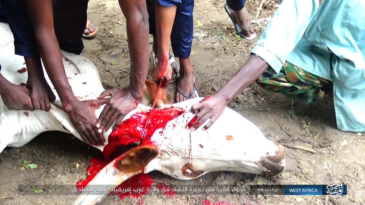 MrKyruer's tweet photo. #ISWAP (#Isis in West #Africa Province) released some pics of its militants celebrating #EidAlAdha .
Part 1 https://t.co/lUHn0YGMR1