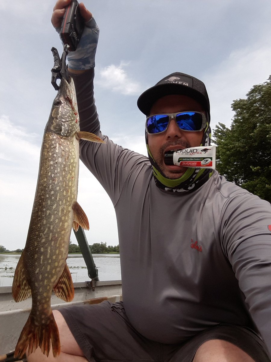 This guy couldn't resist @LiquidMayhem_ Garlic Crawfish scent on a vibrating jig. Get some at your local Walmart (U.S.) or Sail (QC and Ont)! #pike #esox #summerfishing #mayhemmilitia