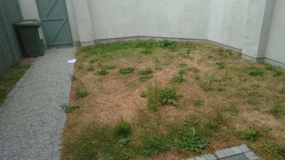 DubArtificial's tweet photo. Before photos of a project in Drumcondra. https://t.co/2aMfrg9TRP