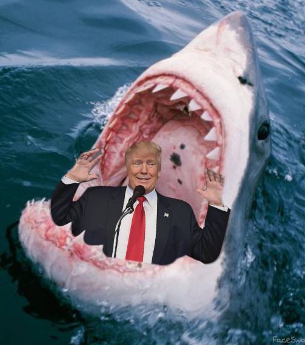 ladyhawkerfinds's tweet photo. @Bornabrit1 I’m gonna go out on a limb here and say I believe this is how @realDonaldTrump and the @GOP are feeling since early yesterday🤔
#ManafortFoundGuilty #CohenFlipped #TimeToImpeachTrump https://t.co/bBf3P89DLs