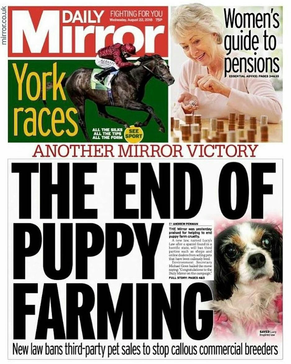 Another unbelievable well done to all those that fought for years to get puppy sales banned from pet shops. We are finally getting the justice our companion animals deserve. #woofwoofwednesday #LucysLaw #wheresmum