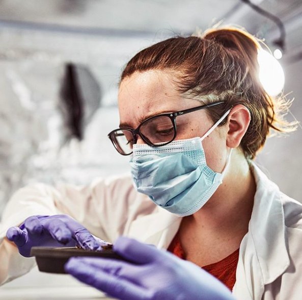 TheGate510's tweet image. Our tenant @tiny_farms grows tasty, healthy, and sustainable insects - supplying the industry with high quality cricket powder. Who even knew this was a thing? Here at #Gate510, you can create just about anything. #bugs #bugstuff #foodtech #foodtechnology