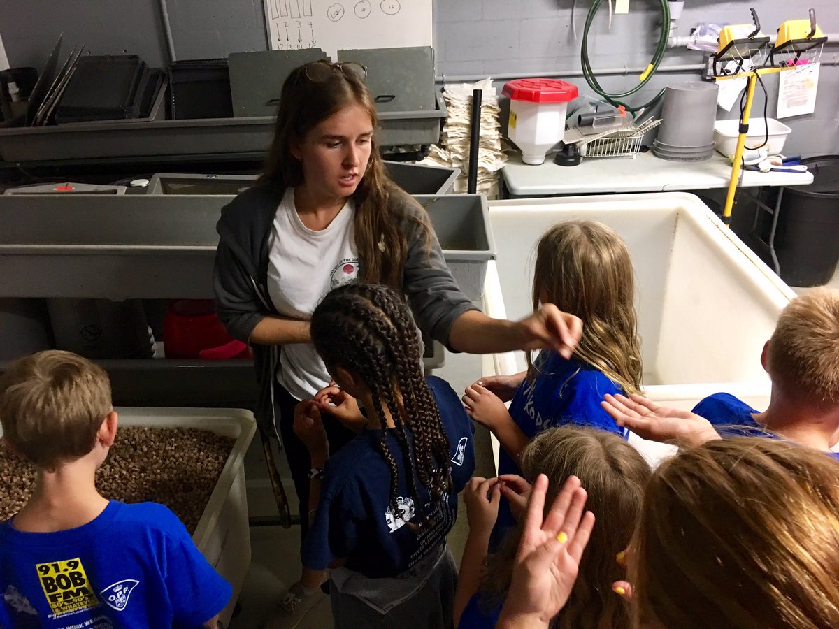 KLPSCSO's tweet image. Kids N Kops 2018 are lucky to have been invited to @FrostDeanBrett where Danny &amp;amp; Brooke are sharing such great knowledge &amp;amp; activities with our campers #EnvironmentalExperts #PredatorOrPrey  @BBBSKLH