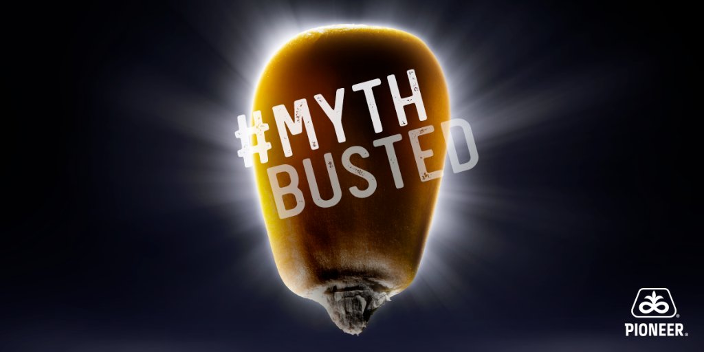PioneerSeeds's tweet photo. Myth (n): an unfounded or false notion. Curious as to why we’re talking about myths? Visit us during Farm Progress Show to learn more. #MythBusted #FPS18 https://t.co/QqCxYCgyvm