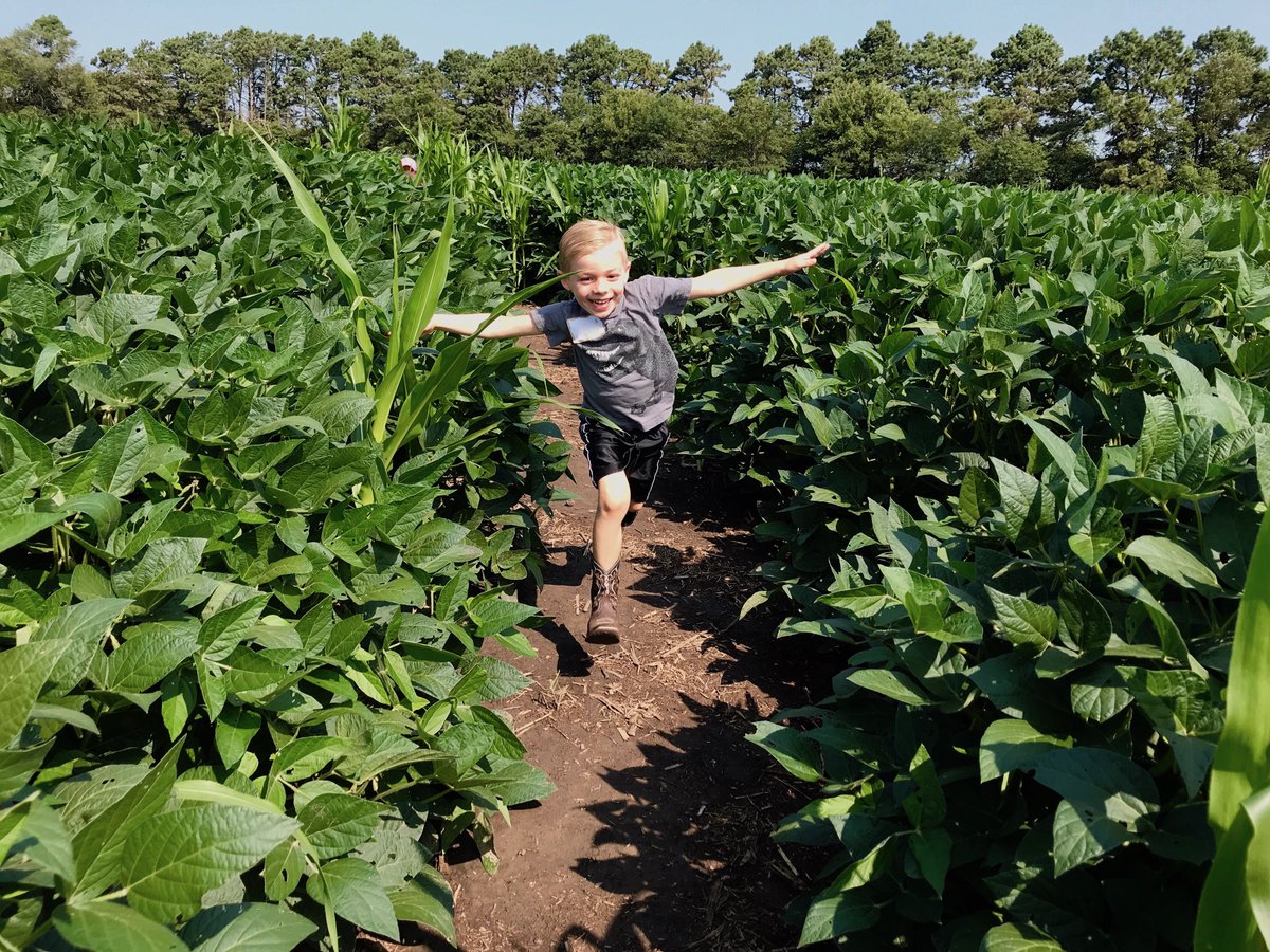 Thanks to @DuPontPioneer for a grant award supporting our agriculture education efforts! #PioneerGives