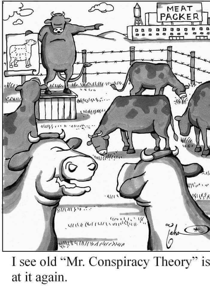 DlOm68UVAAAY3Vr.jpg:large