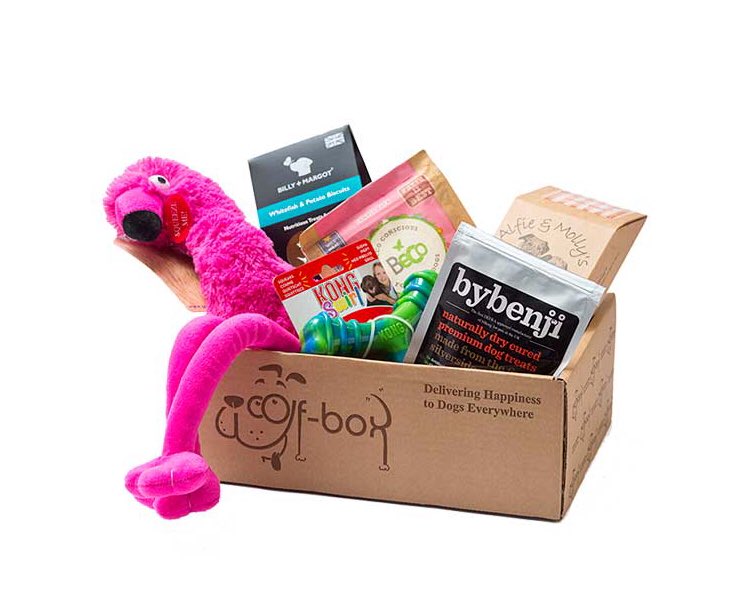 woofboxuk's tweet photo. A little peek at one of our #woofbox subscription boxes! We just love delivering happiness to dogs everywhere 🐶 https://t.co/Q43xdfdy5W #woofwoofwednesday https://t.co/X35epJpn0R