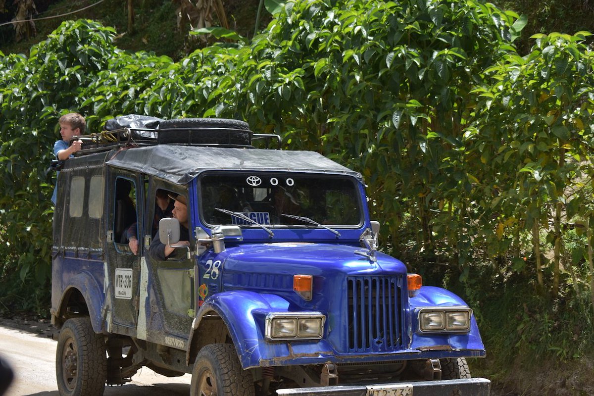 RoastMagazine's tweet image. Read about a recent trip to the Tolima coffee region of Colombia via @inconexuscoffee inconexus.com/trip-to-golden… #colombia #coffee #tolima