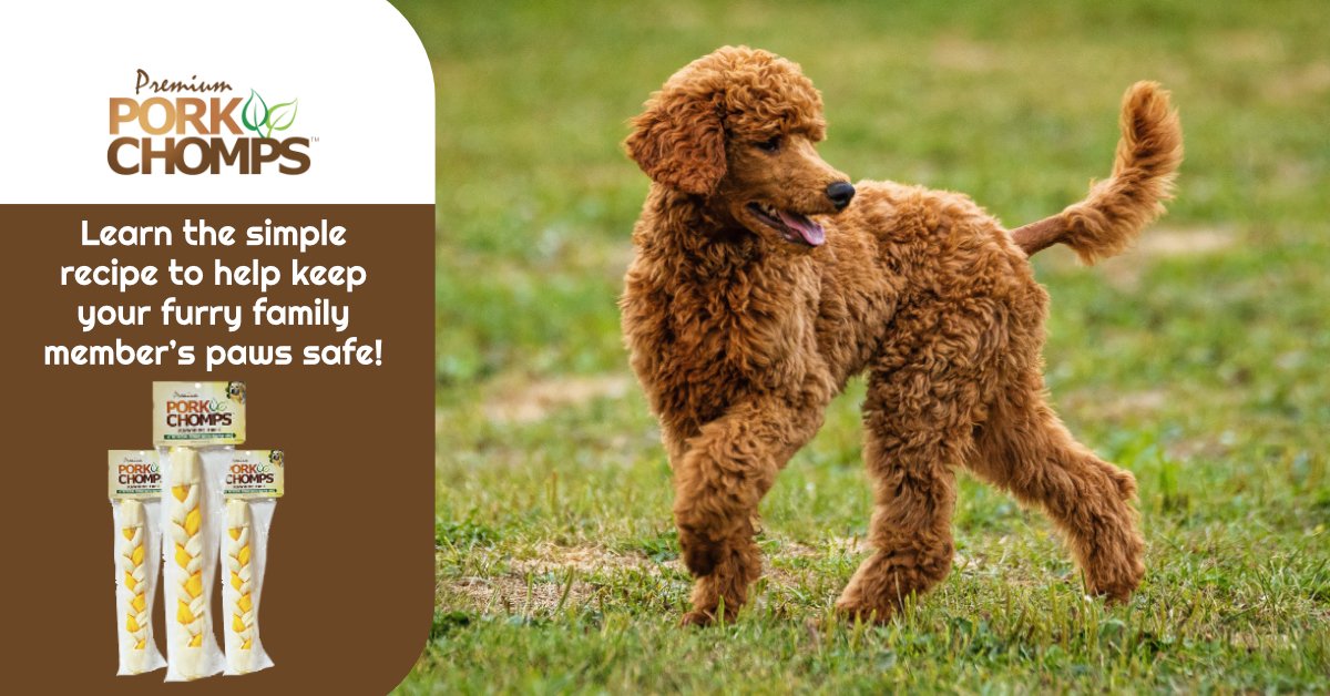PorkChomps's tweet photo. A DIY paw wax can help to protect your pup’s paws during the cold winter months! Learn the simple recipe to help keep your furry family member’s paws safe!  https://t.co/ugod2w8X7j #porkchomps #rawhidefree #dogtreats #dogsofInstagram #pet #petsagram https://t.co/w3AzUBCkho
