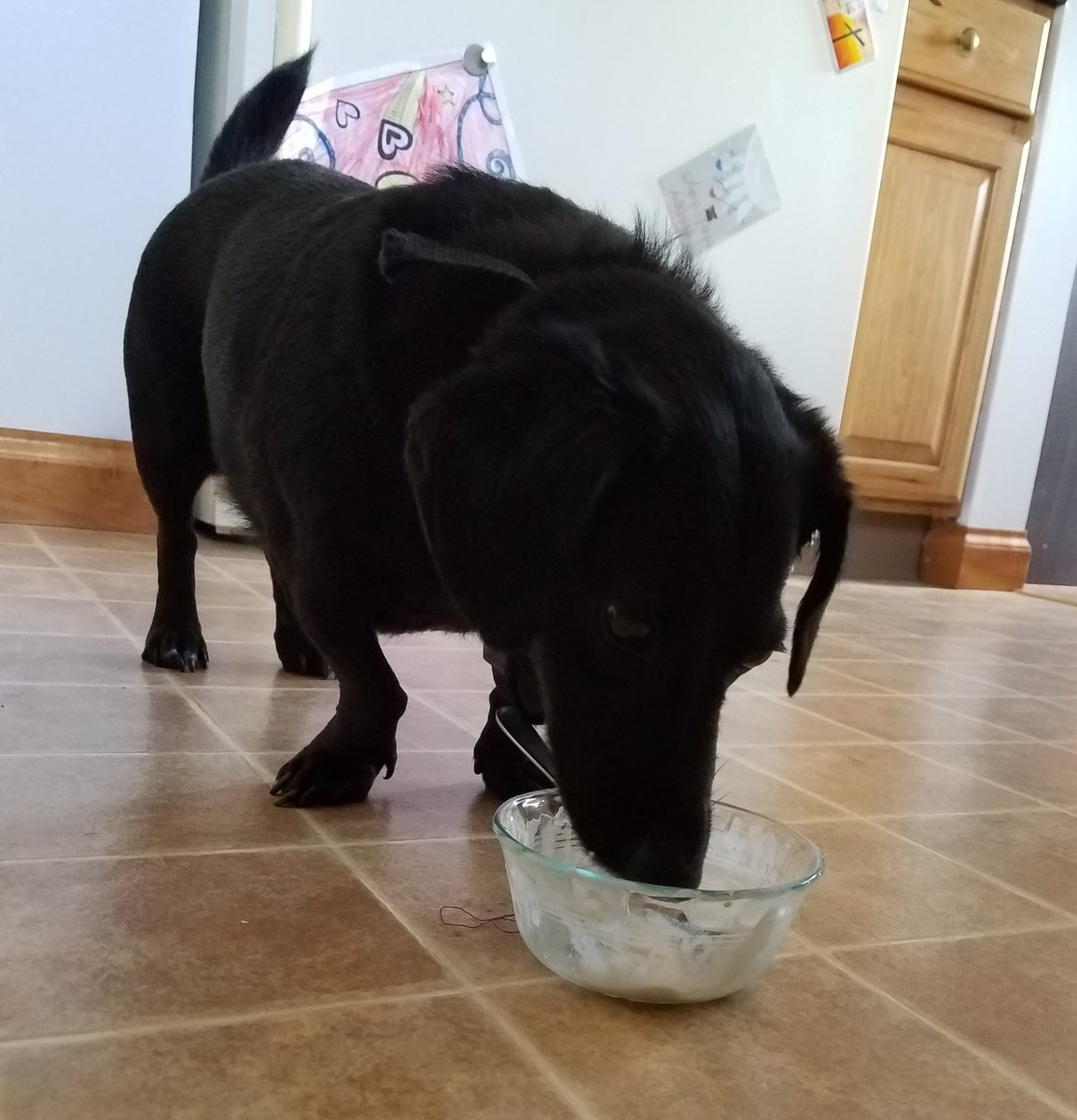 k26_sam's tweet photo. #Parksidepicturechallenge #ladybuglikesicecreamtoo https://t.co/DZuN0MkYrY