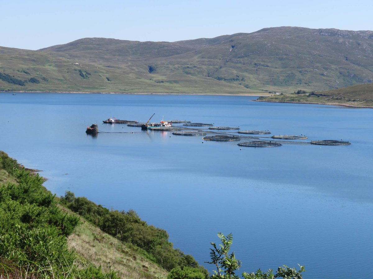 ScotSalmonTank's tweet photo. Community Council questions use of chemicals at #Scottish #salmon farm @MHScotland and lack of public consultation for proposed new sites in #Carradale #Kintyre via @campbeltowncour 
#chemicals #disease #pollution #aquaculture 
https://t.co/BG0ker08xJ https://t.co/6YRcbZG4ox
