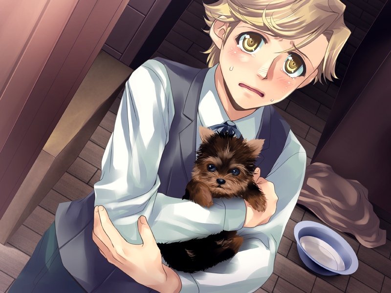 arisato kazuma tweet media