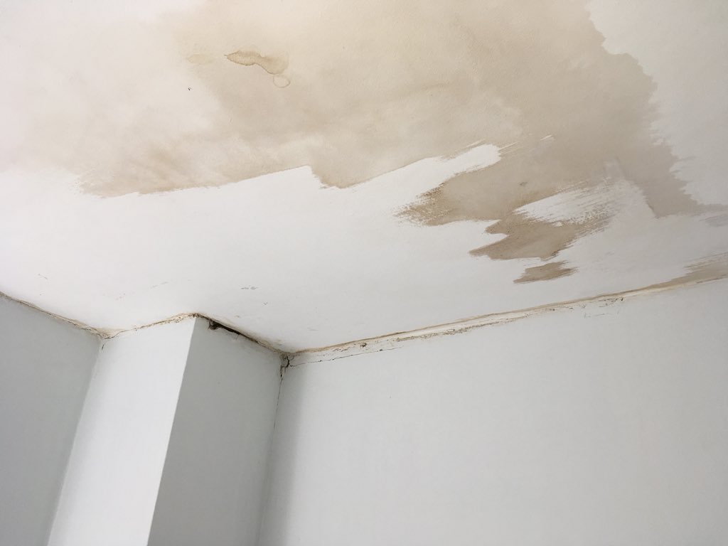 Brian on Twitter "Damp throughout coming through the bathroom ceiling