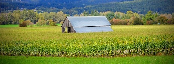 This week's Precision Ag Insider newsletter is out. Take a few minutes to catch up on Trimble news including information on the upcoming #FPS18 in Iowa, ISO equipment compatibility, and more. hubs.ly/H0dslnl0