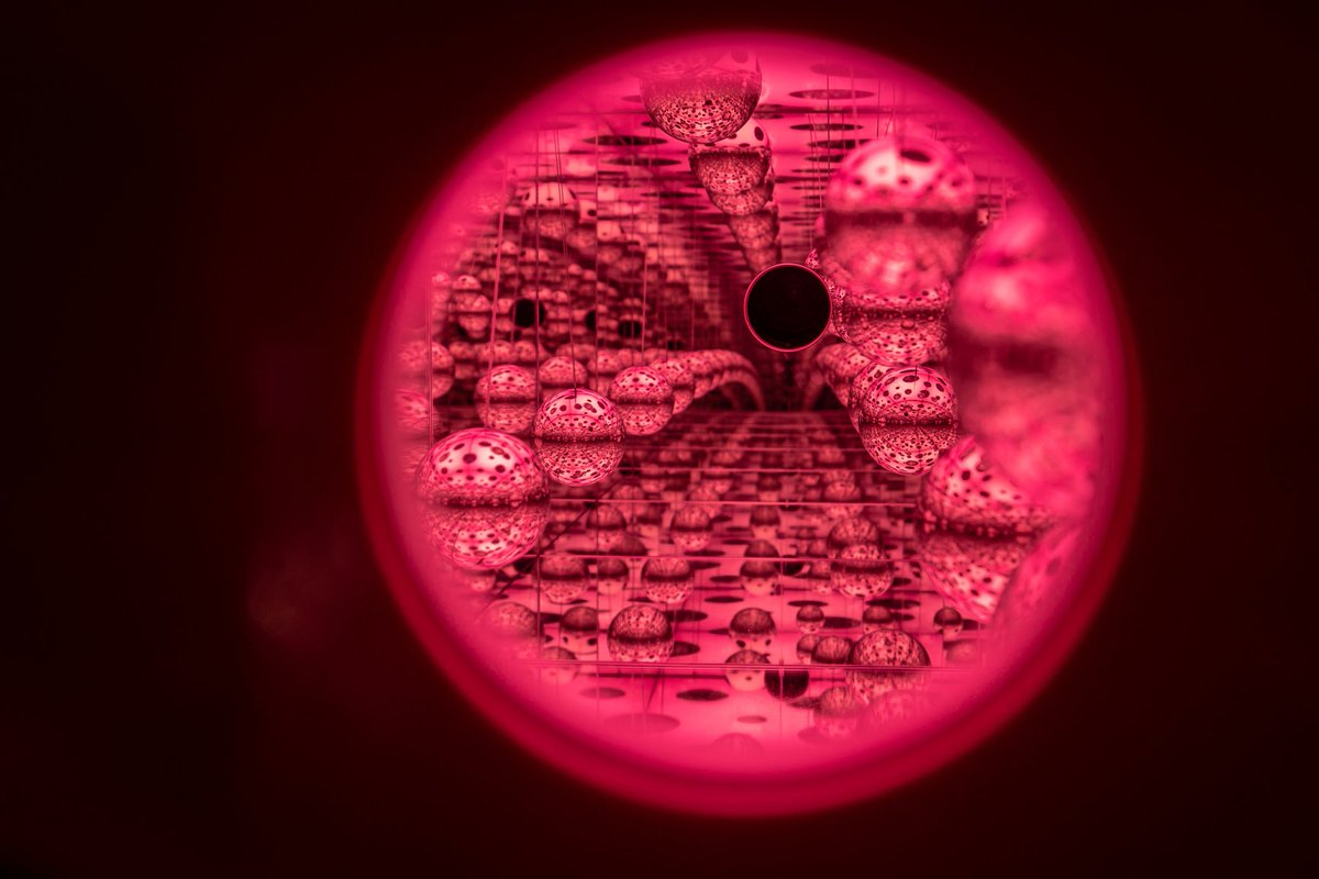 rhendricksphoto's tweet photo. @KUSAMA_YAYOI #infinitekusama at the @ClevelandArt https://t.co/mnr39nxxa2