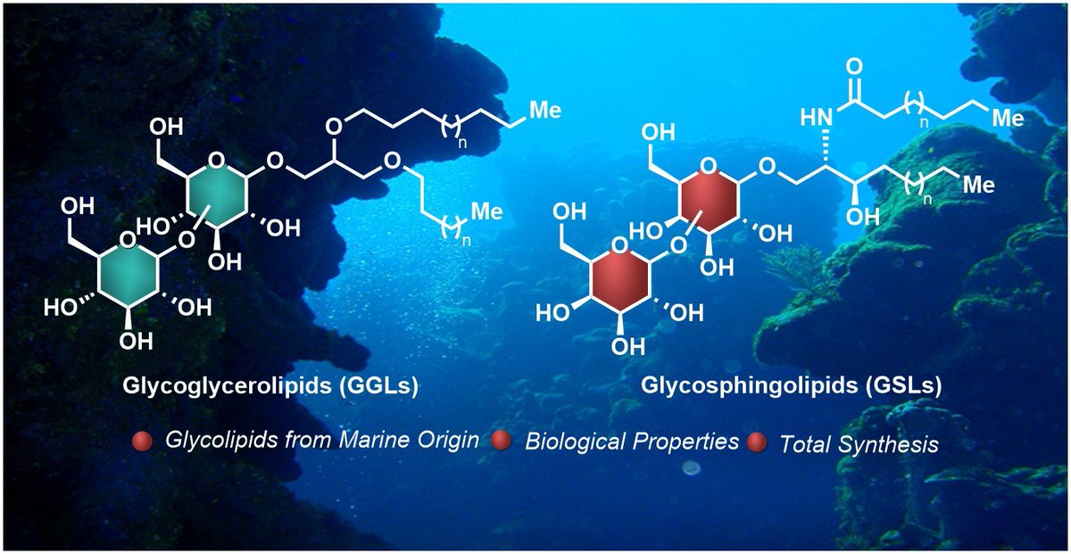 Latest Review: Chemistry and Biology of Bioactive #Glycolipids of #Marine Origin，mdpi.com/1660-3397/16/9…