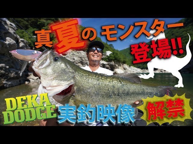 Youtube釣り動画速報 A Twitter 釣り動画 釣り レイドジャパン Raidjapan が更新 デカダッヂ 真夏のモンスター登場 金森隆志が実釣解説 T Co Bpw5jvwxsq