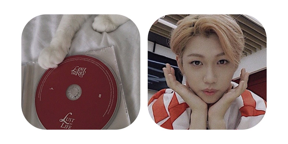 ⠀ 
⠀ 
𝐖𝐡𝐨 𝐚𝐦 𝐈, 𝐰𝐡𝐚𝐭 𝐝𝐨 𝐈 𝐰𝐚𝐧𝐭?
   𝐈'𝐦 𝐜𝐮𝐫𝐢𝐨𝐮𝐬 𝐚𝐛𝐨𝐮𝐭 𝐰𝐡𝐨 𝐈 𝐚𝐦.
⠀              ———
⠀  𝐍𝐨 𝐚𝐧𝐬𝐰𝐞𝐫𝐬, 𝐦𝐚𝐧𝐲 𝐪𝐮𝐞𝐬𝐭𝐢𝐨𝐧𝐬.

⠀ ⠀    ■ ᴡʀɪᴛᴇʀ ᴏᴄ.

⠀ ⠀         ╰ ♬ ╮

福 ✎… < #ʟᴜᴄᴋᴄᴏ >