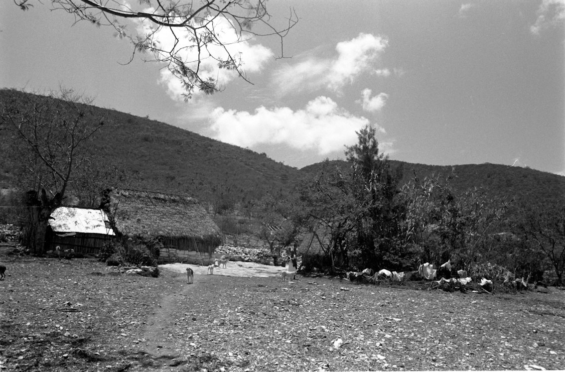 MiMuseoIndigena's tweet photo. Hoy nos despedimos con este paisaje de la comunidad xwja/#ixcateca de Santa María Ixcatlán, #Oaxaca.
Foto: Teúl Moyrón, #FototecaNachoLópez.
¡Hasta mañana! https://t.co/cMHwkMvE0s