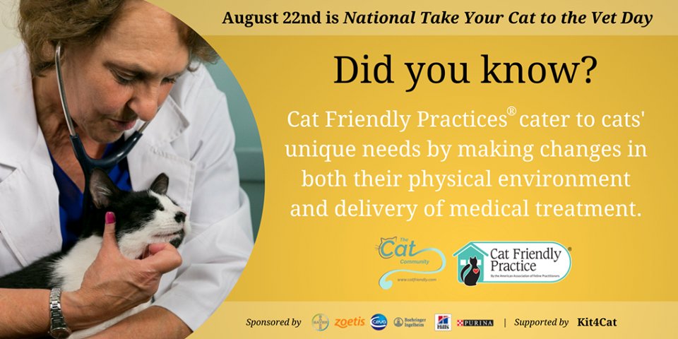 We are proud to be a certified Cat Friendly Practice! buff.ly/2Onq2vs #CatToVetDay