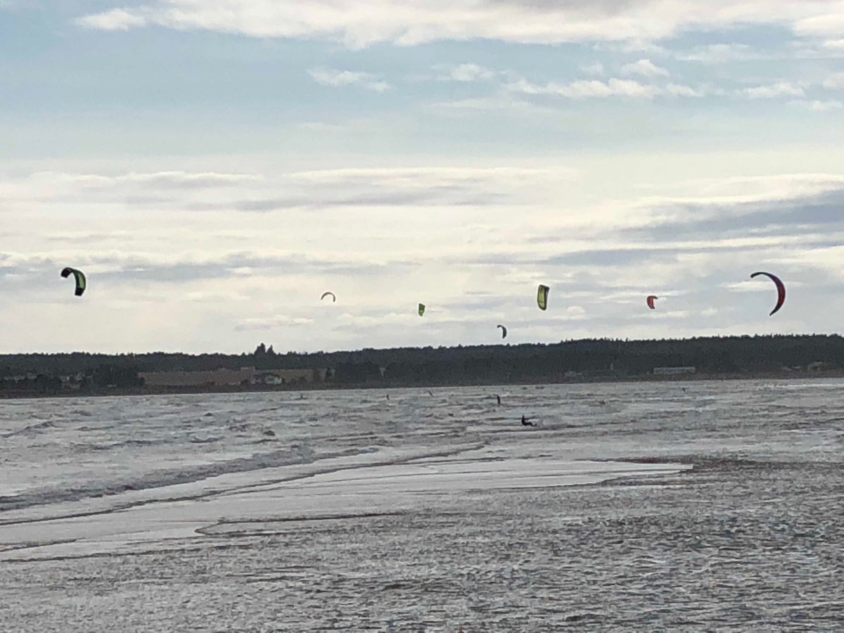 SherrillLP's tweet photo. 10 kite surfers catching the wind and surf ⁦@SourisPE⁩ https://t.co/WiYl9eEijF