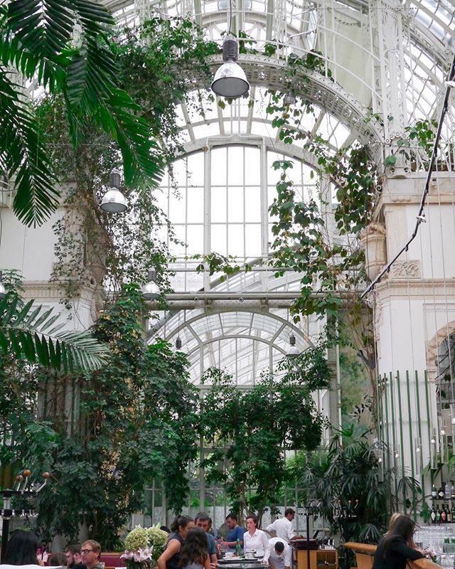 Wearplants's tweet photo. Last week I spent a rainy afternoon eating lunch in a greenhouse and it was heavenly. #greenhouse #conservatory #conservatorygarden #botanicalpickmeup #greenhouse #plantlady #plantsmakepeoplehappy https://t.co/hvZDRUE8xW https://t.co/BnpsaTG7G7