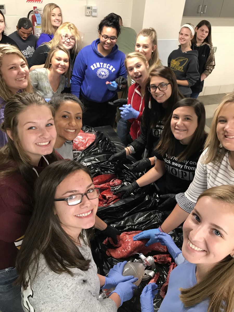 ATCHealthScienc's tweet photo. Today in Health Sciences... #AwesomeStudents
#RespiratorySystem https://t.co/TgUfKrXChg