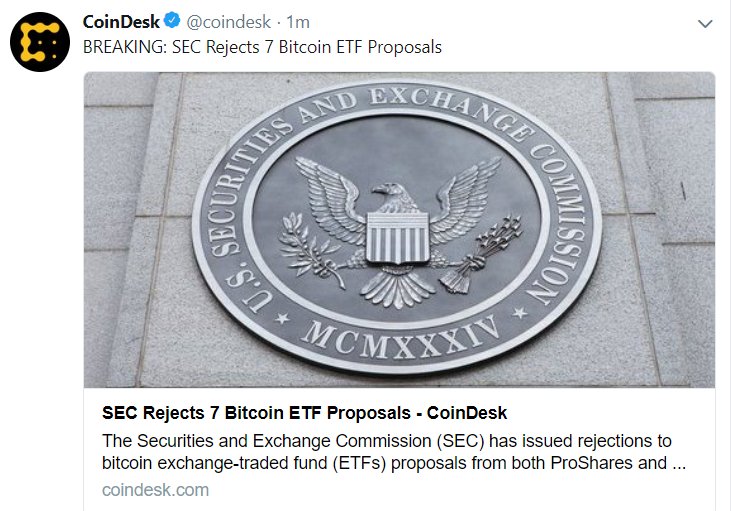 Crypto Hippo 💜 tweet media