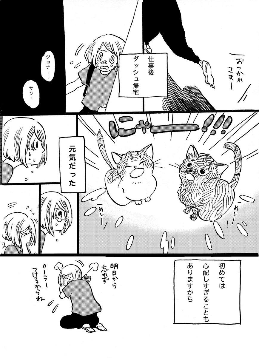 長谷川ろく در توییتر こねこのドレイ 第7話 ねことお年寄りはたくさん水を飲んで欲しい ねこ ネコ 猫 Cat にゃんこ こねこ ねこ 部 ねこすたぐらむ にゃんすたぐらむ Catstagram 猫まんが 猫漫画 まんが マンガ 漫画 コミック Comics Comic 日常 日常漫画 イラスト 長谷川ろく در توییتر こねこのドレイ 第7話 ねことお年寄りはたくさん水を飲んで欲しい ねこ ネコ 猫 Cat にゃんこ こねこ ねこ 部 ねこすたぐらむ にゃんすたぐらむ Catstagram 猫まんが 猫漫画 まんが マンガ 漫画 コミック Comics Comic 日常 日常漫画 イラスト
