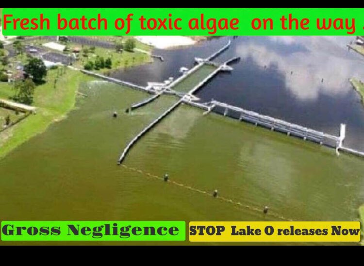 @FLGovScott Looks like there’s more coming. Ridiculous. #stoplakeoreleases #cleanwatermovement #liar