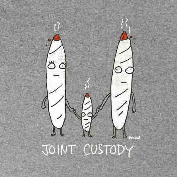 Joint custody 😂😂 #staycrispy #stonermeme