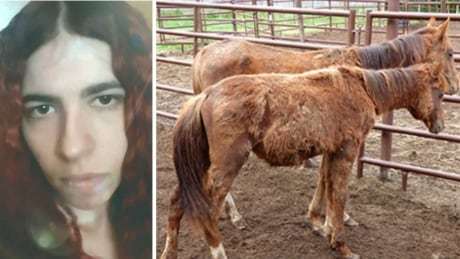 CBCCalgary's tweet photo. Judge says she's too emotional, postpones sentencing for repeat animal abuser https://t.co/6JnWCt94VQ https://t.co/rSrnmziRl2