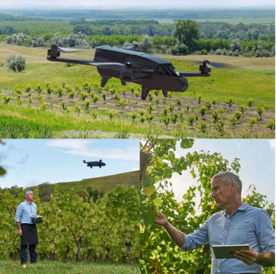 HYoungGEO's tweet photo. @geosistemassrl lanza al mercado el drone de inspección para el sector agropecuario #parrotBluegrass Drone multirrotor con cámara frontal full HD y cámara SEQUOIA multiespectral. Monitorear la salud de nuestros cultivos, Zonificación y Prescripción al instante. https://t.co/ui5DuRf8JI