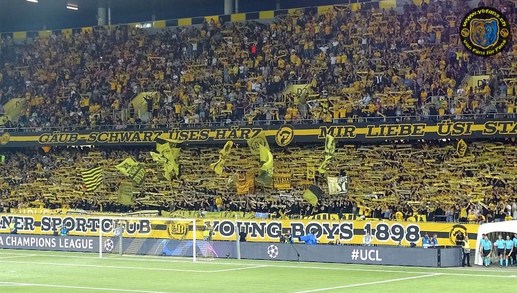 ybfans's tweet photo. Fotos > @BSC_YB - @gnkdinamo - 22.08.2018 (https://t.co/ABjXNK3S28). #BSCYB #YB #OstkurveBern #OKBE #YBFOREVER #YBELIEVE #YBDZ #DZG https://t.co/DVLYpwGzWN