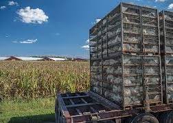 SimpleFoods's tweet photo. Pollution from a chicken factory may be killing its neighbors. The Delaware Supreme Court will decide.  #DietIsPower #SimpleFoods https://t.co/QR8an70Y2C https://t.co/88dCcmkztp