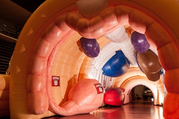 RenownKids's tweet photo. The #MEGAbody exhibit is less than 10 days away! We can't wait to walk through the enormous human body and learn more about how it all works. https://t.co/vesQSE99dk https://t.co/IW351X7SKO