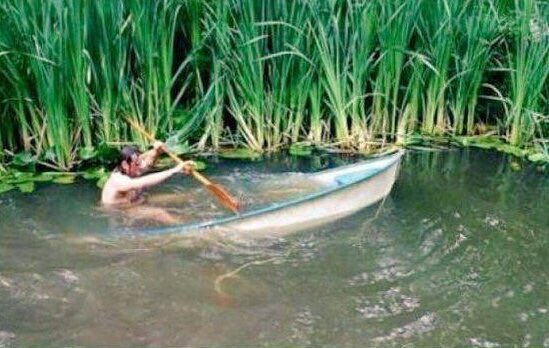-como va la facu
+yy la voy remando 
-ah bienn 
+sii jajaj