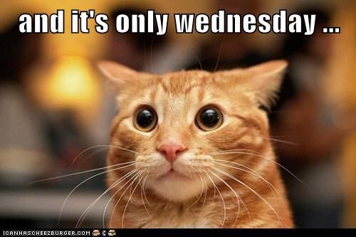 MogieCranLee's tweet photo. Don’t fret it’s almost Thursday!  #Kavakat #Goodnight #Sunset #Nighttime #SweetDreams #Evening #Time #For #Bed #Sleep #Zzz #CloseYourEyes #Rest #Pillow #Moon #Moonlight #Wedontclosetill12 https://t.co/rabUhvV0aR