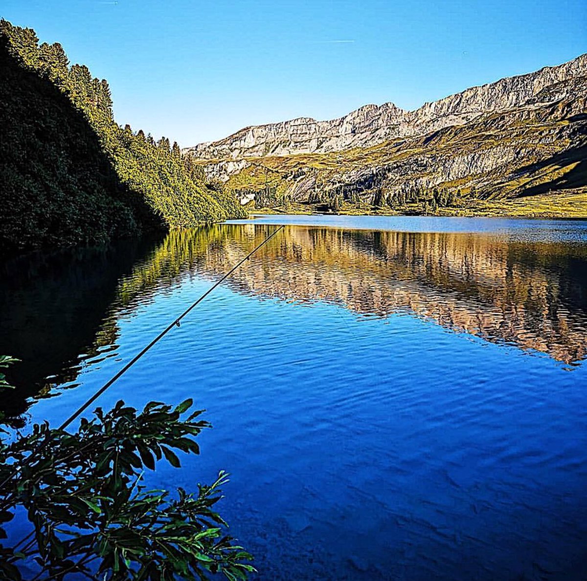 IMTrinews's tweet image. Via @samuelhuerzeler 
#protipp for best recovery: go #fishing 😉
.
.
.
.
.
#recoveryweek #fishing #relax #recharge #outdoor #malkeinsportfoto