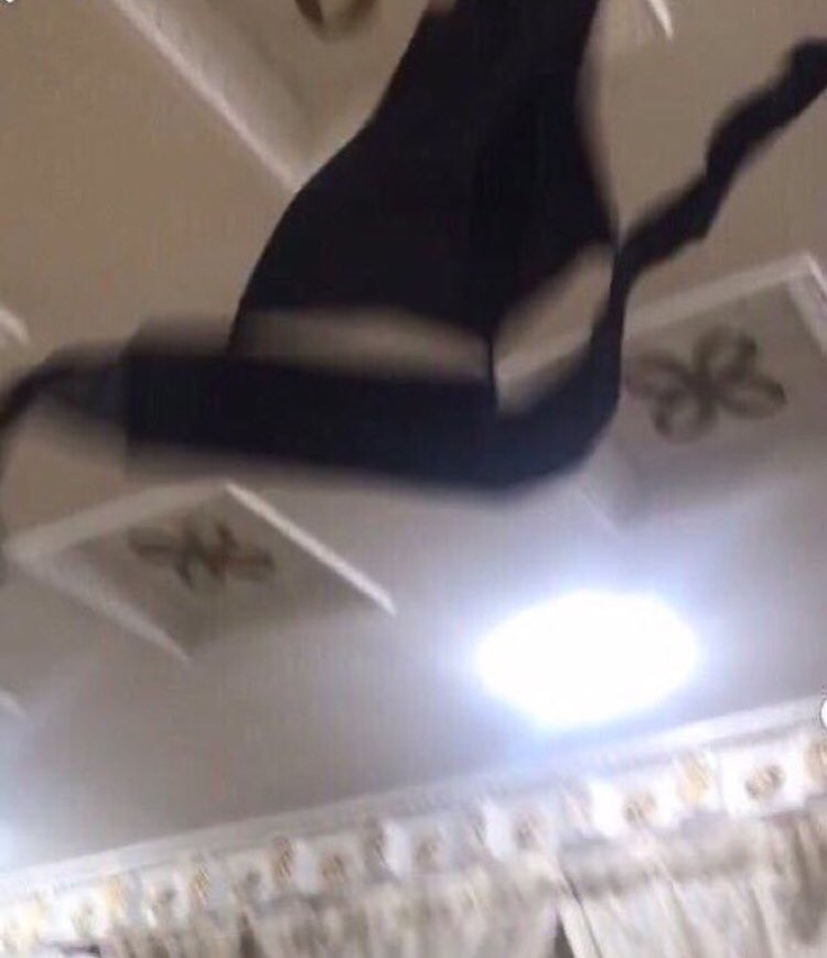 أيـفا𓃗. tweet media