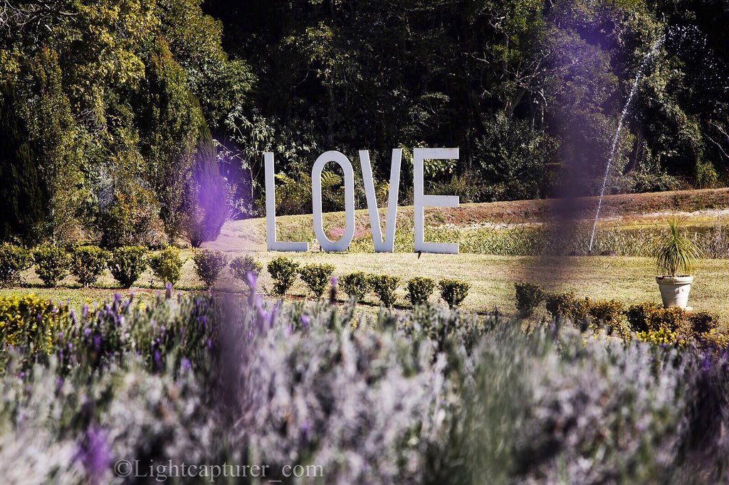 I’ve found LOVE at Mt Tamborine at Jasmin Organics Lavender farm #love #tamborinemountain #goldcoast #lavenderfarm