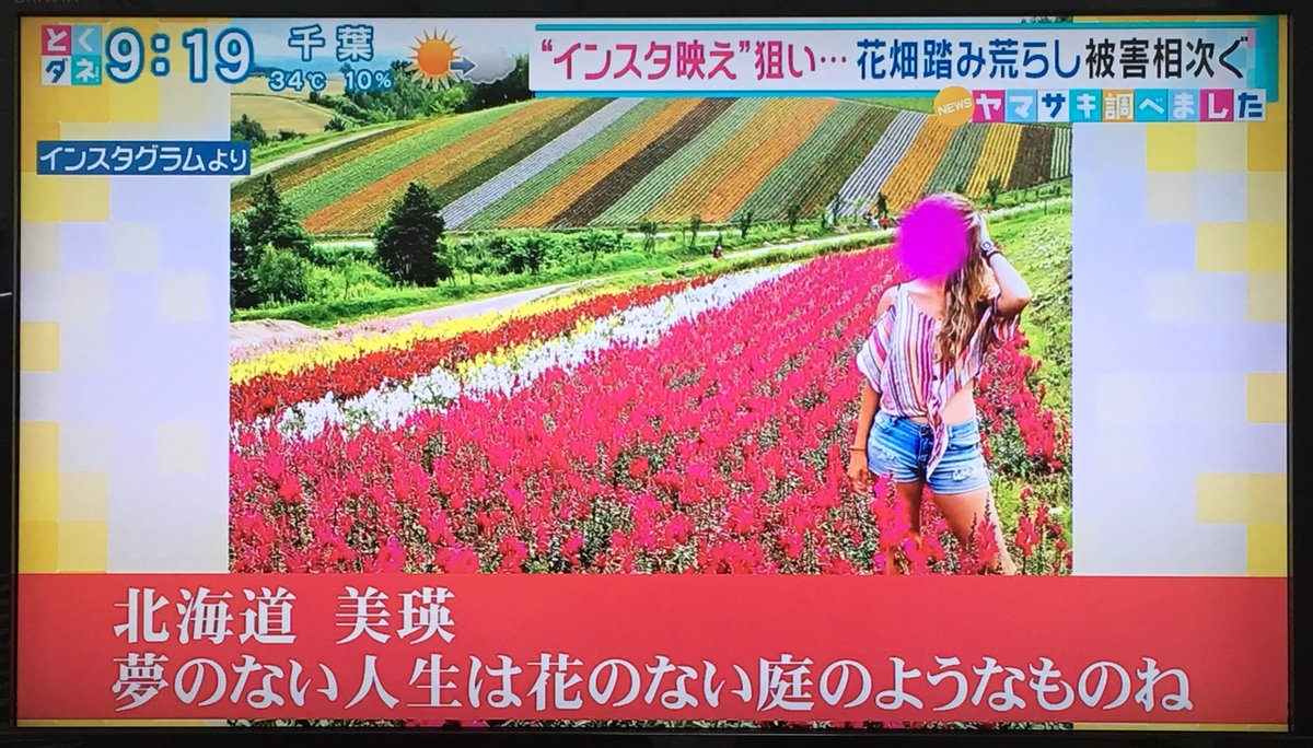 名前が決まらない Sur Twitter 北海道の美瑛町の花畑や畑が インスタ映えを狙う人達によって踏み荒らされたり 作物が病気に感染したりして被害を受けているらしい 本当に 人に迷惑をかけるインスタバエたちはどうにかできないのか とくダネ