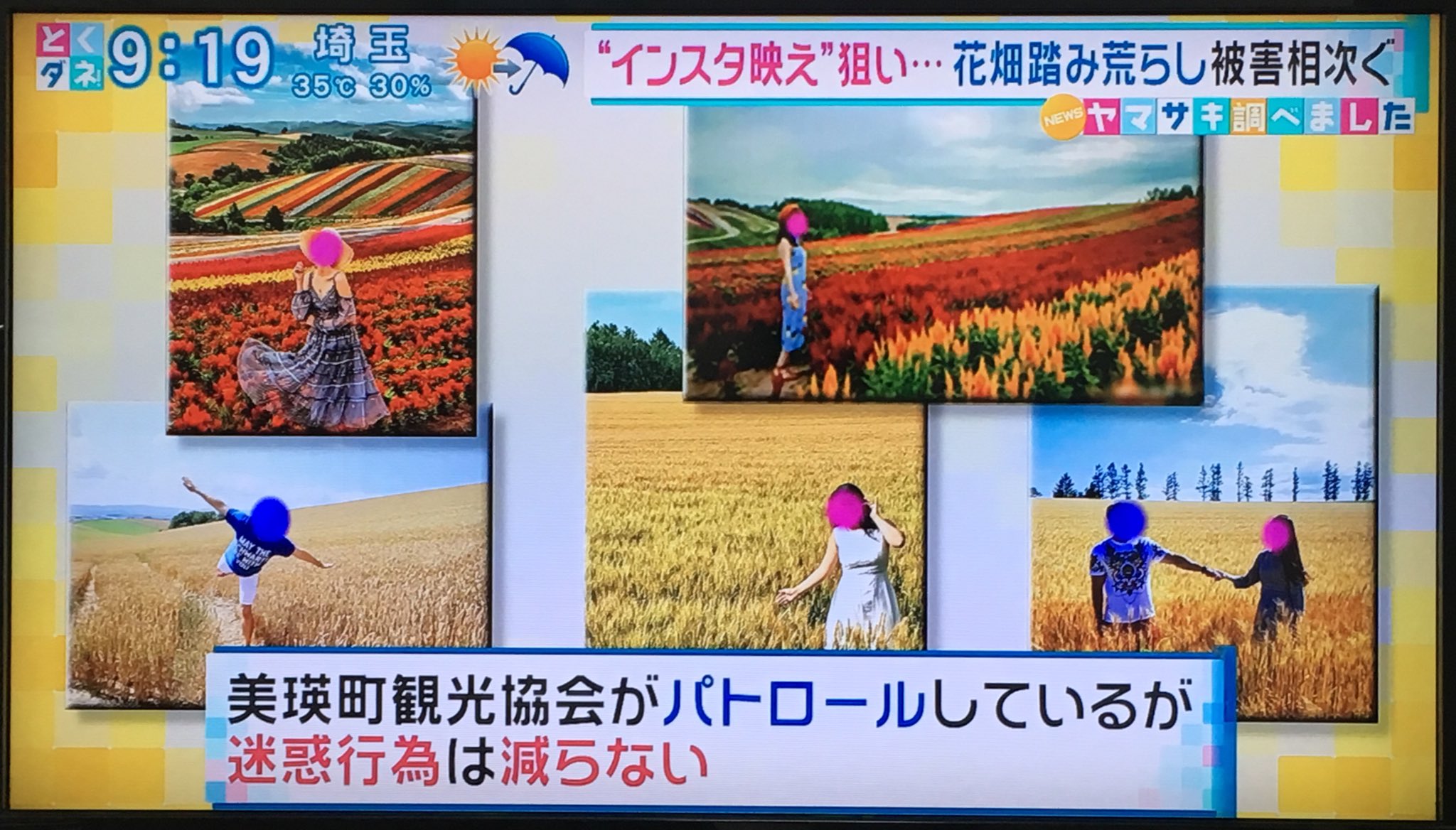 名前が決まらない 北海道の美瑛町の花畑や畑が インスタ映えを狙う人達によって踏み荒らされたり 作物が病気に感染したりして被害を受けているらしい 本当に 人に迷惑をかけるインスタバエたちはどうにかできないのか とくダネ T Co