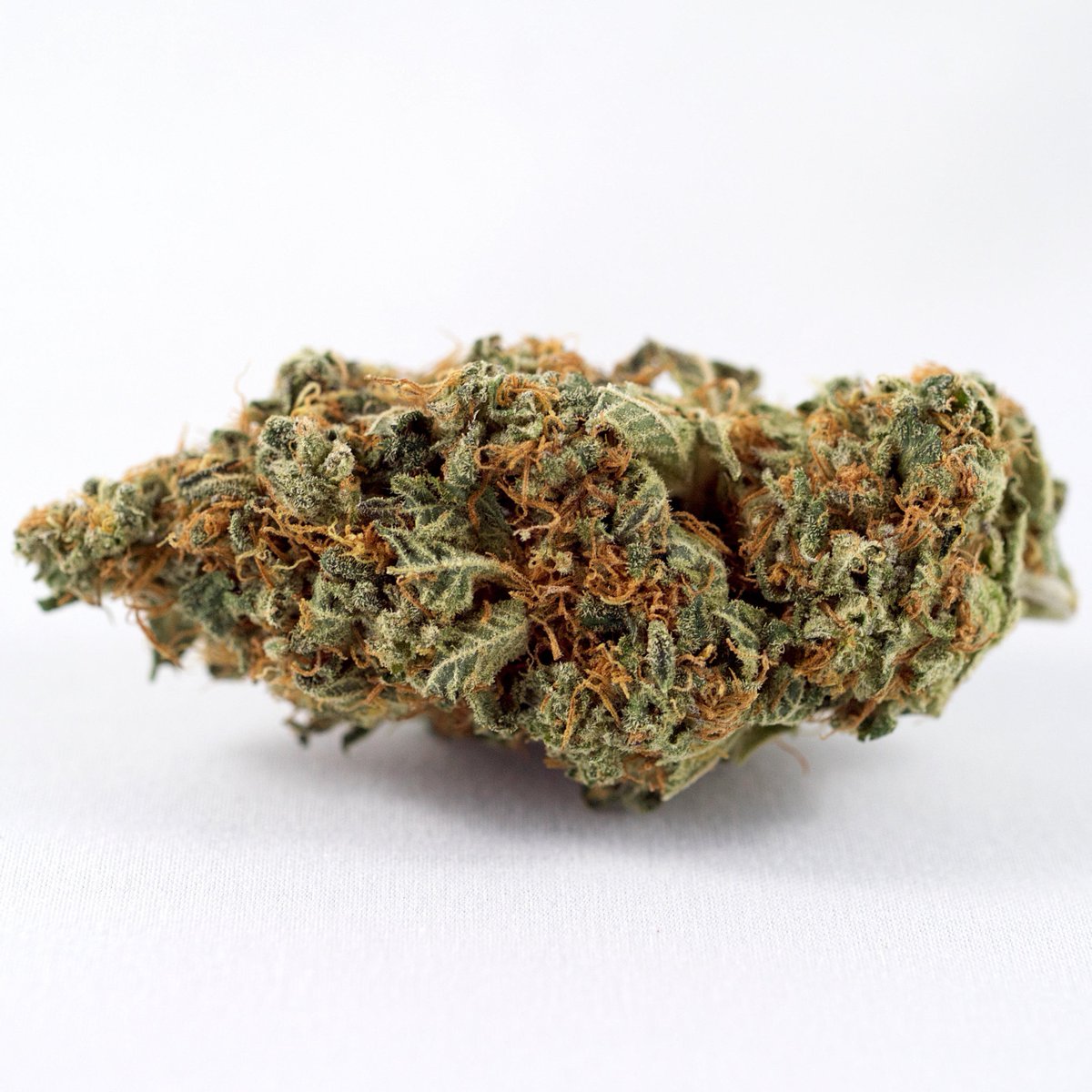 getwhitepalm's tweet image. Durban Poison is one of a kind and one of the most sought after Sativa strains in the world. We got Kootenay Fire to start working on it about 12 months ago. This is their 3rd go at it and it&apos;s lookin real nice. Medicinal Effects: Stress, Depression, Fatigue THC: 20% Visit #GWP