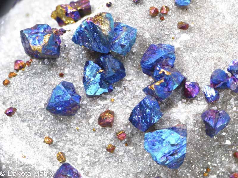 DakotaMatrix's tweet photo. Daily Five #minerals at 7:30P mtn time tonight #raremineralspecies #raremineralspecimens https://t.co/qisENeJ9wD