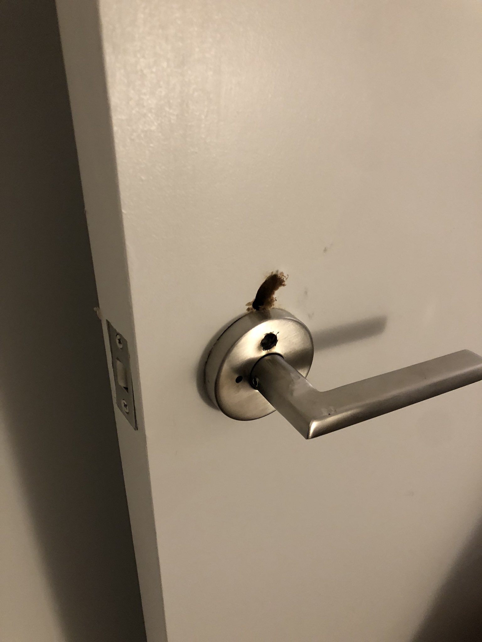 塩谷 舞 Mai Shiotani ドア破壊 全力でタックルし 夫レスキューされました ドア開いた瞬間にレスキューの人と激しく握手