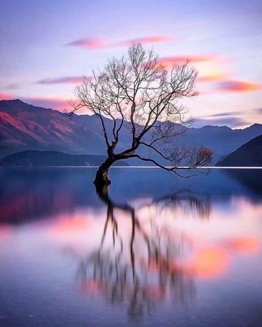 ravenpsychic_'s tweet photo. Good morning all https://t.co/283PtzxeCf