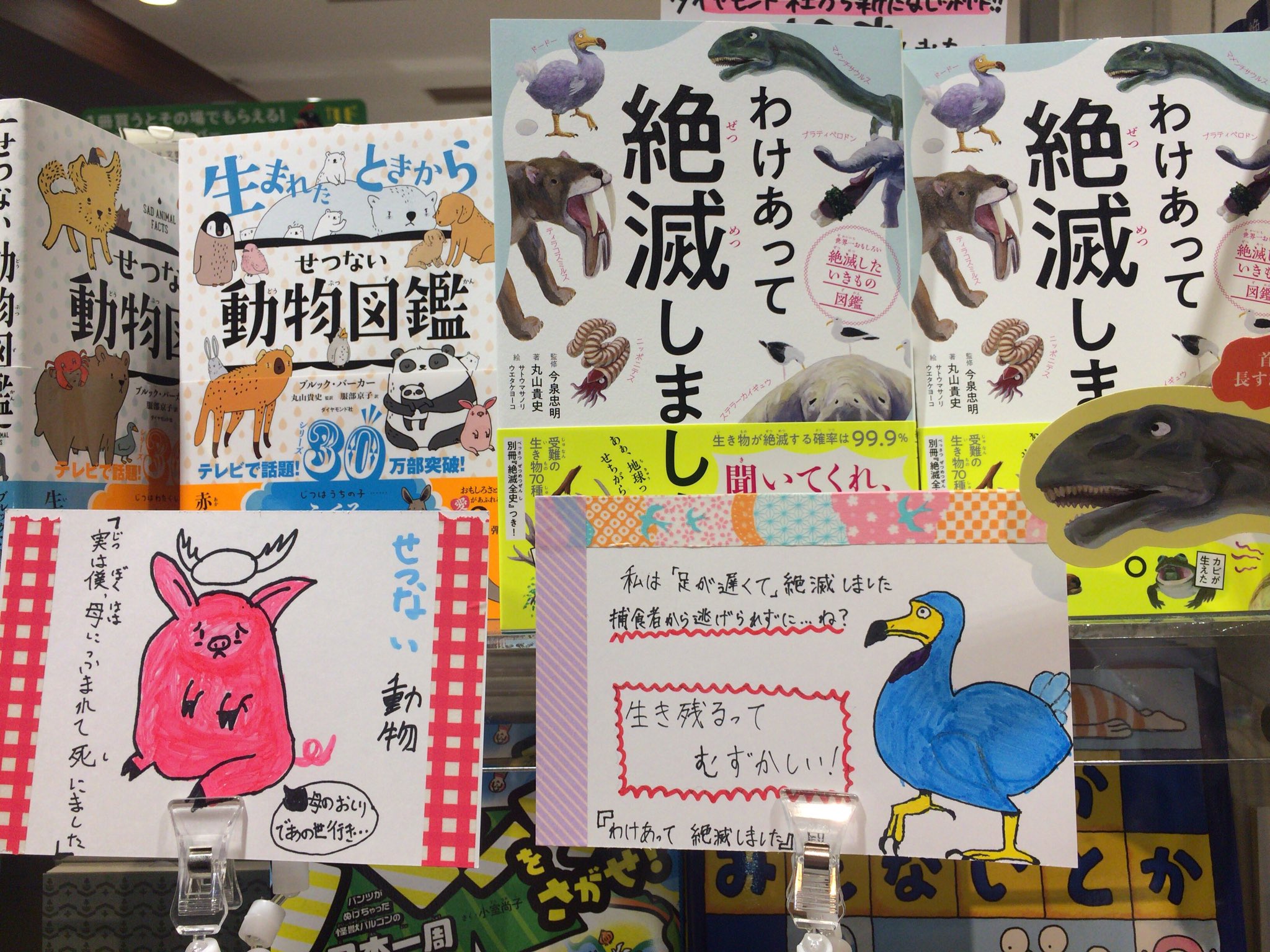 くまざわ書店シァル鶴見店 ツイート用 今日は職業体験日でした 恒例のpop講座も開催 書きやすいかなと動物 系の本をいくつか用意して 選んでもらいました 生まれたときからせつない動物図鑑 わけあって絶滅しました で男子中学生さん二人が書い