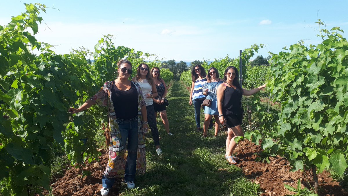 GoNorthWineTour's tweet photo. Good news for us - bad news for you! We are sold out for the rest of August! Now taking bookings for September and October! https://t.co/LTB5wSBftb